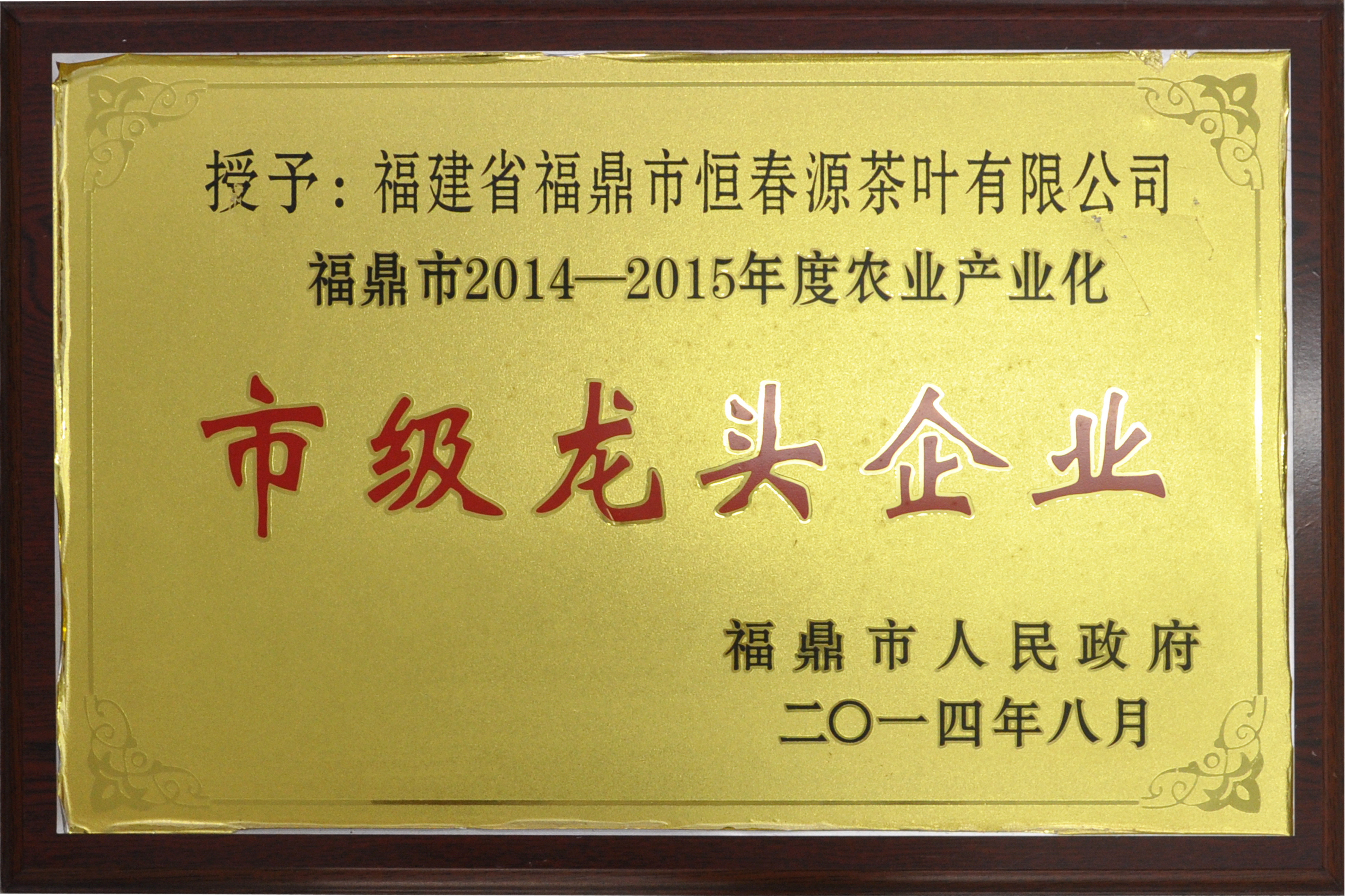 2014-2015年度市級龍頭企業(yè)